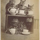Image for article titled Even in the 1870s, humans were obsessed with ridiculous photos of cats
